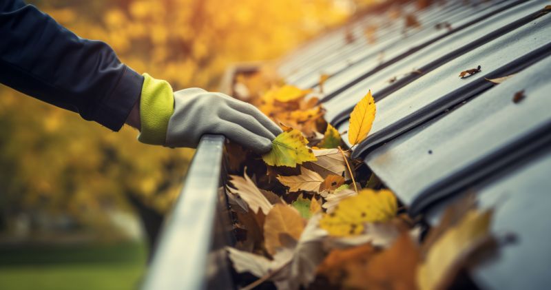 Fall Gutter Service