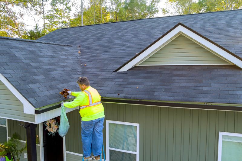 Specialized Gutter Maintenance Companies